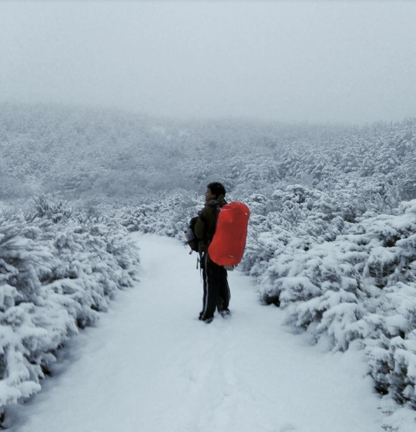 Screenshot 2024-08-31 at 6.12.15 PM